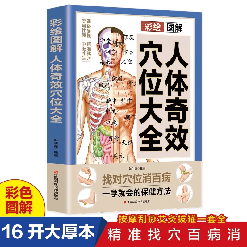 Health & Wellness Studio - دليل تدليك نقاط الضغط والحفاظ على